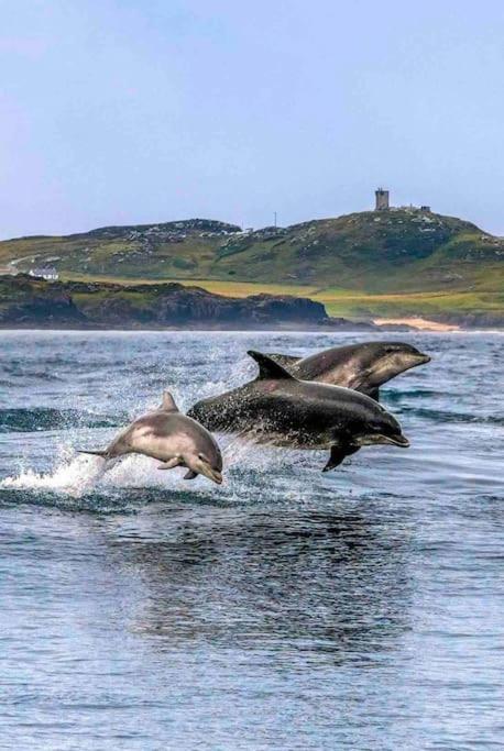 Cosy Portmor Log Cabin- Sea Views, Deck & Relaxation Malin Head المظهر الخارجي الصورة